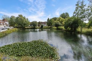South facing view from deck- click for photo gallery